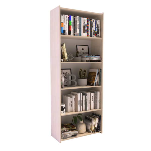 Biblioteca estudio 5 estantes.