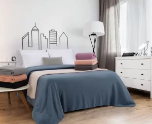 D_NQ_NP_2X_949546-MLA75718196379_042024-F Frazada Polar Lisa Jean Cartier 1 Plaza 1/2.